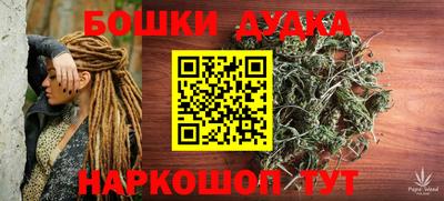 мдпв Будённовск