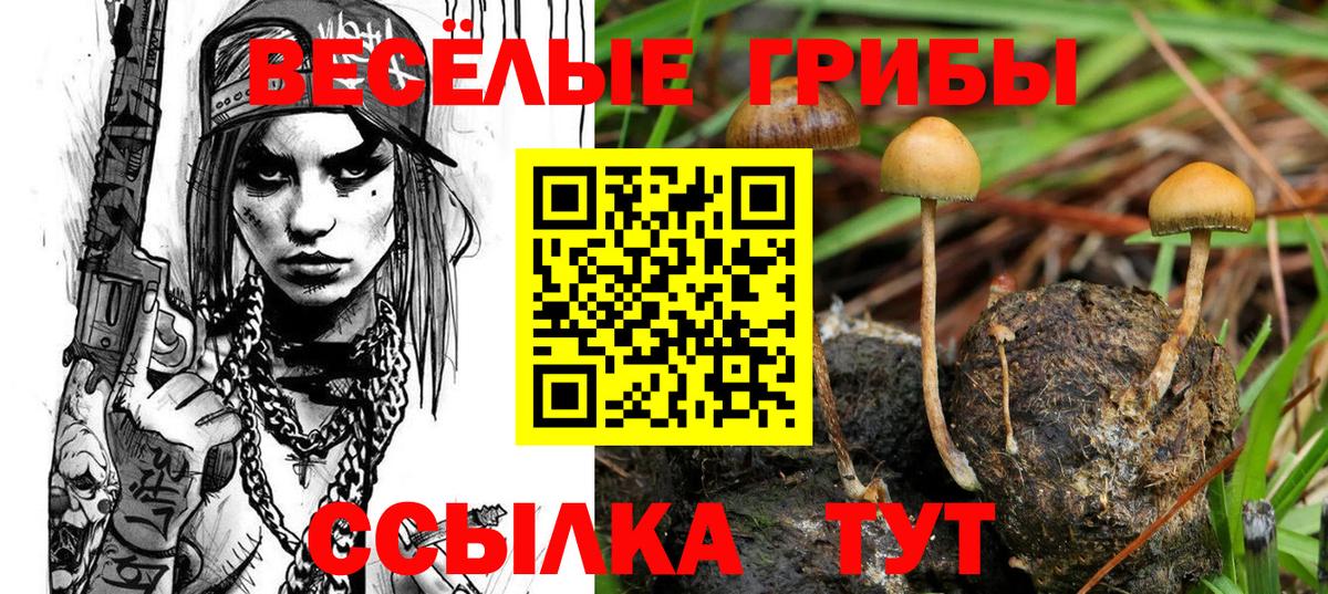 Псилоцибиновые грибы Magic Shrooms Новороссийск