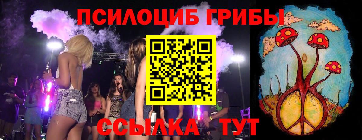 Псилоцибиновые грибы мицелий  как найти   Псилоцибиновые грибы GOLDEN TEACHER  Новороссийск  Вход с VPN 